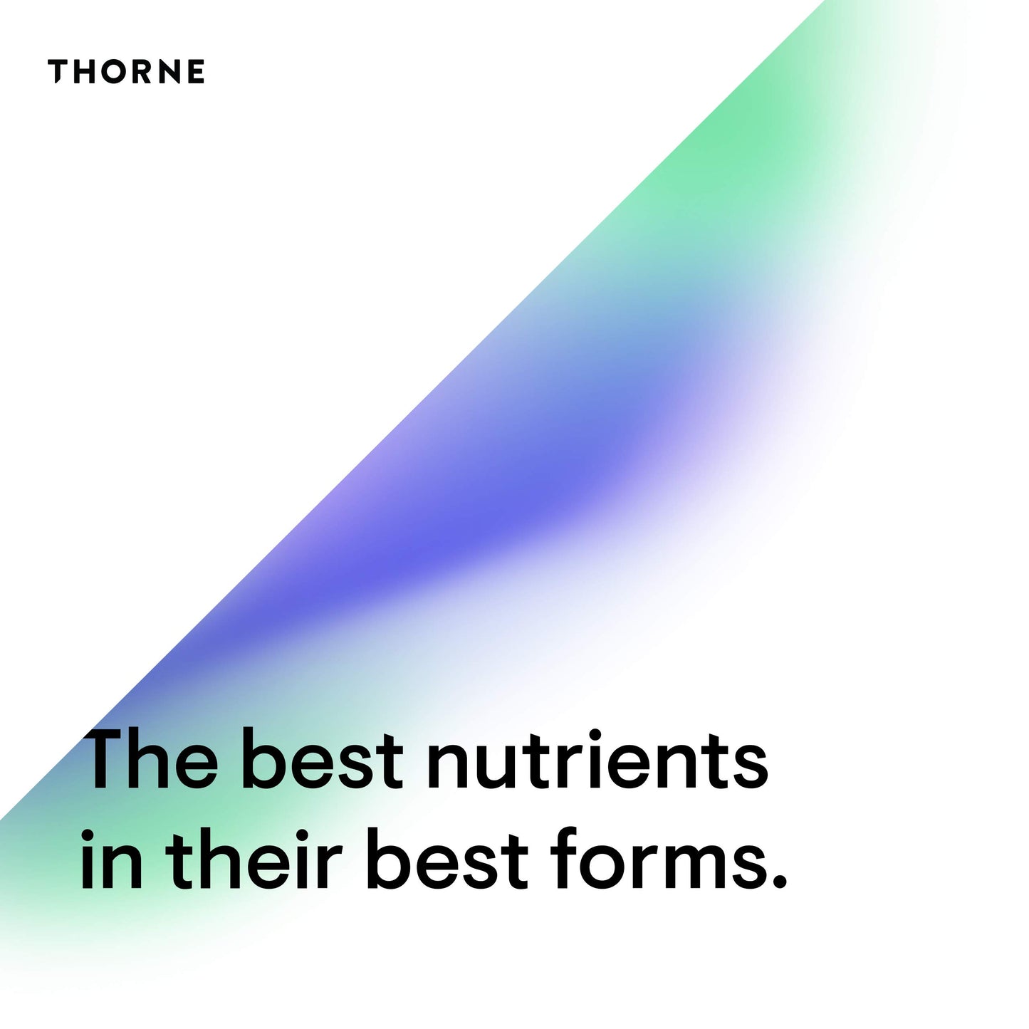 Thorne Essential Nutrients 50+ (formerly Multi-Encap) - 180 Capsules