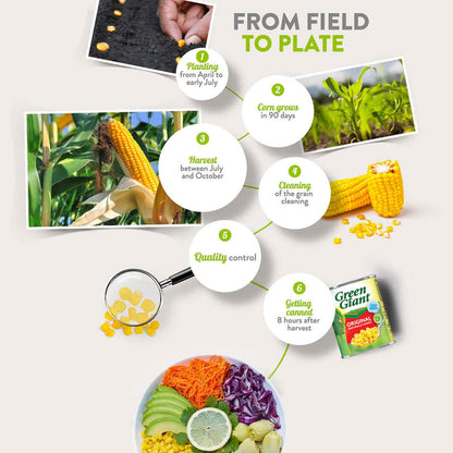 Green Giant Salad Crisp Sweetcorn (2x150g) - Pack of 2