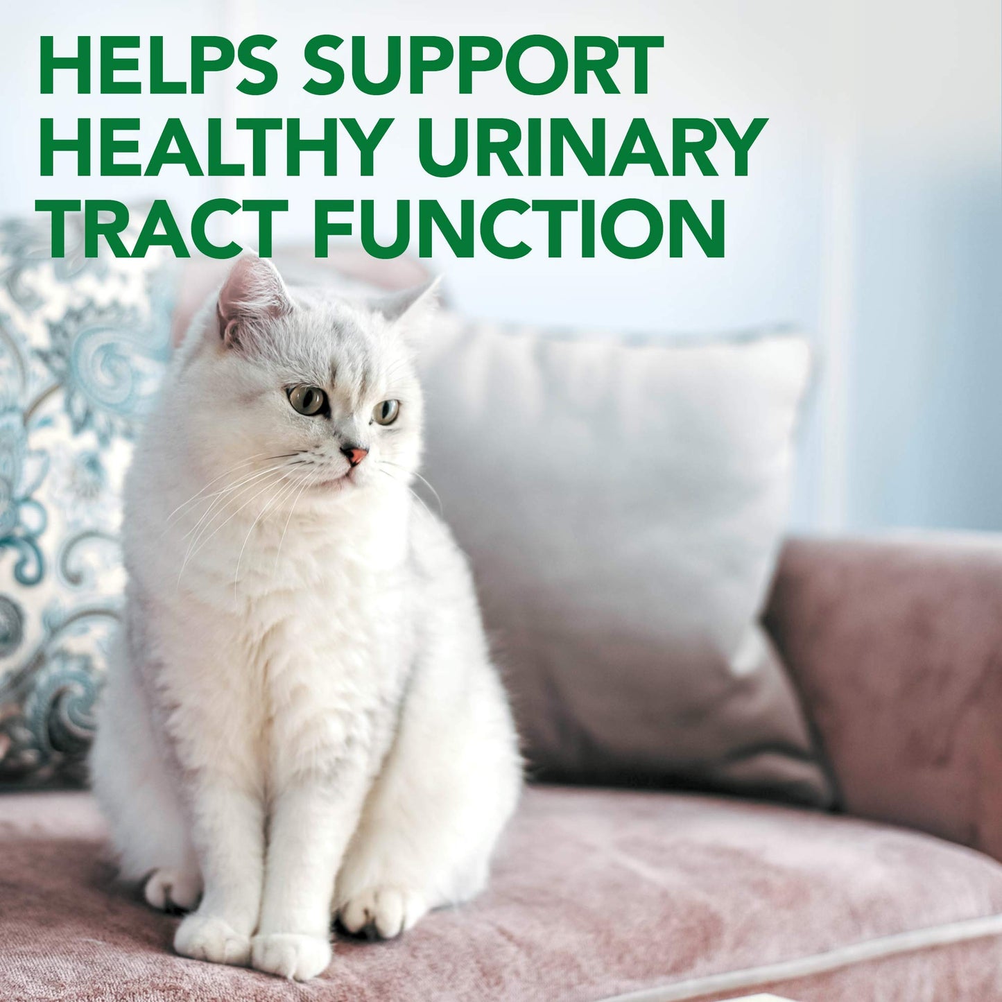 Vet's Best Feline Urinary Tract Support Cat Supplements, 60 Chewable Tablets