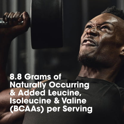 OPTIMUM NUTRITION Platinum HydroWhey, Turbo Chocolate 3.5lb
