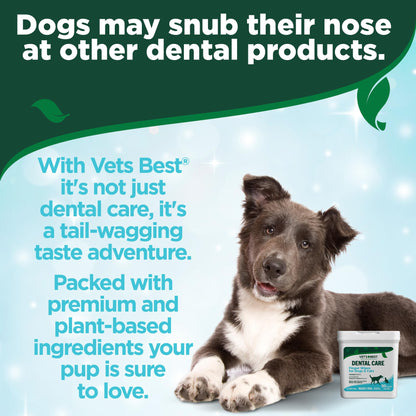 Vet's Best Dental Care Finger Wipes | Reduces Plaque & Freshens Breath | Teeth Cleaning Finger Wipes for Dogs & Cats | 50 Disposable Wipes