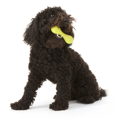 West Paw Zogoflex Hurley Durable Dog Bone Chew Toy for Aggressive Chewers, 100% Guaranteed Tough, It Floats!, Made in USA, Small, Granny Smith