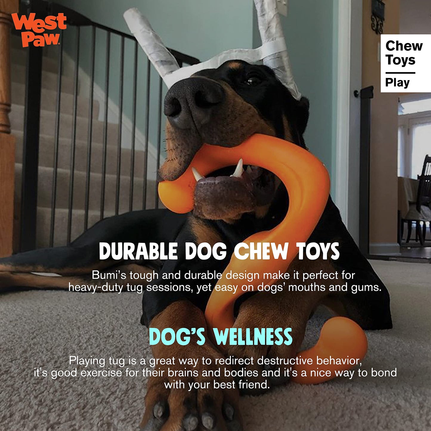 West Paw Zogoflex Bumi Interactive Tug of War Durable Dog Play Toy, 100% Guaranteed Tough, It Floats!, Made in USA, Large, Tangerine