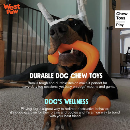 West Paw Zogoflex Bumi Interactive Tug of War Durable Dog Play Toy, 100% Guaranteed Tough, It Floats!, Made in USA, Large, Tangerine
