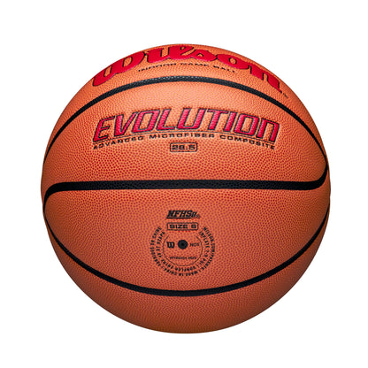 Wilson Evolution Game Basketball