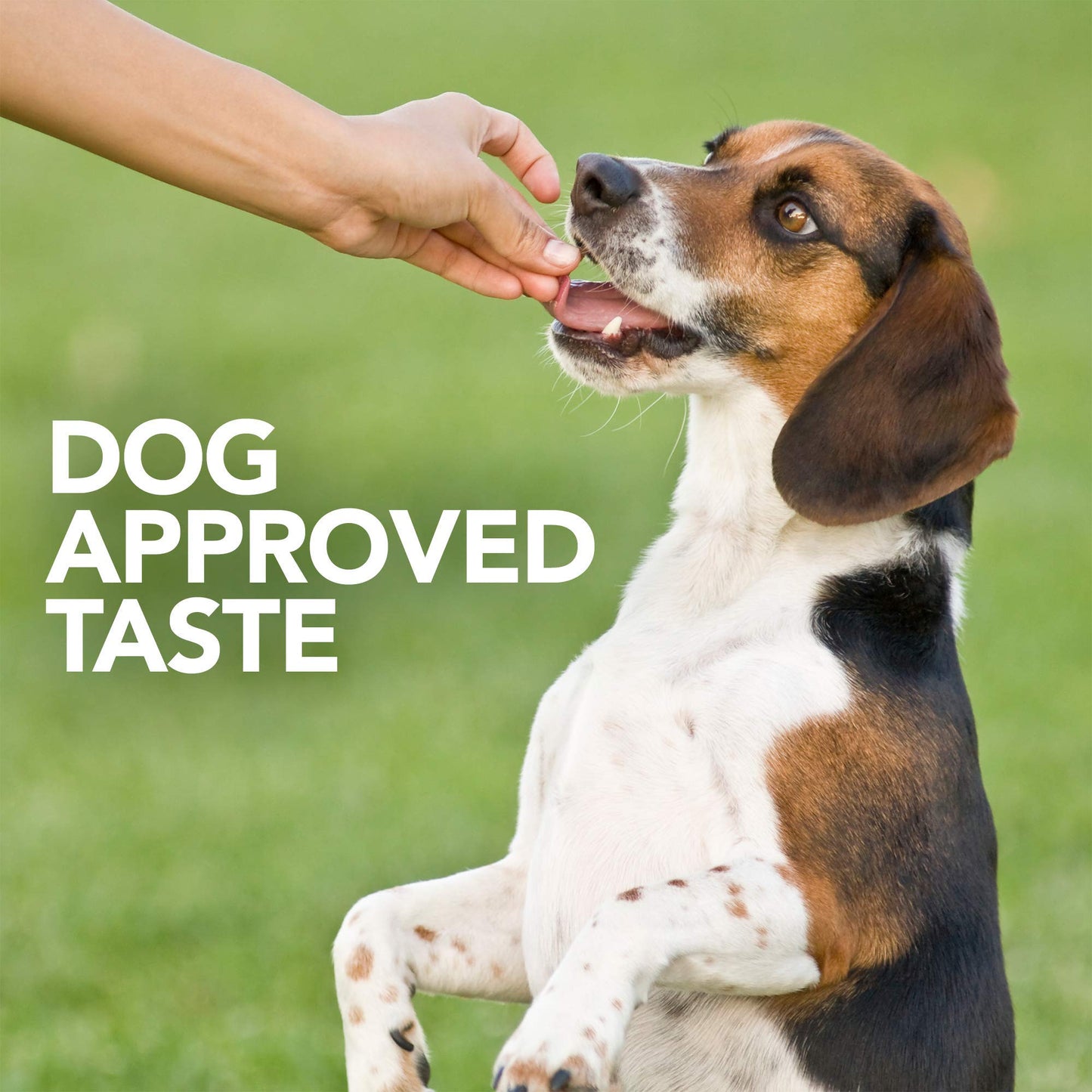 Vet's Best Probiotic Soft Chews Dog Supplements, 30 Day Supply