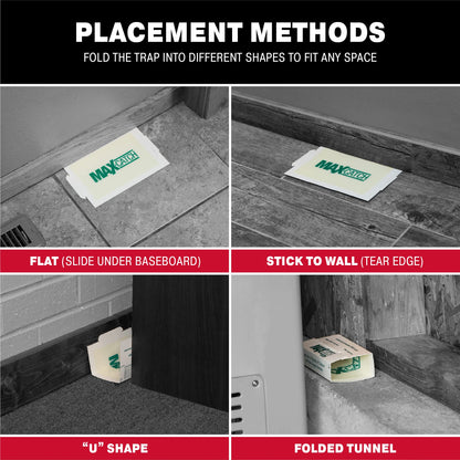Pest Glue Trap by Catchmaster - 36 Boards Pre-Baited, Ready to Use Indoors. Rodent Mouse Rat Insect Sticky Adhesive Simple Easy Simple Non-Toxic - Made in The USA