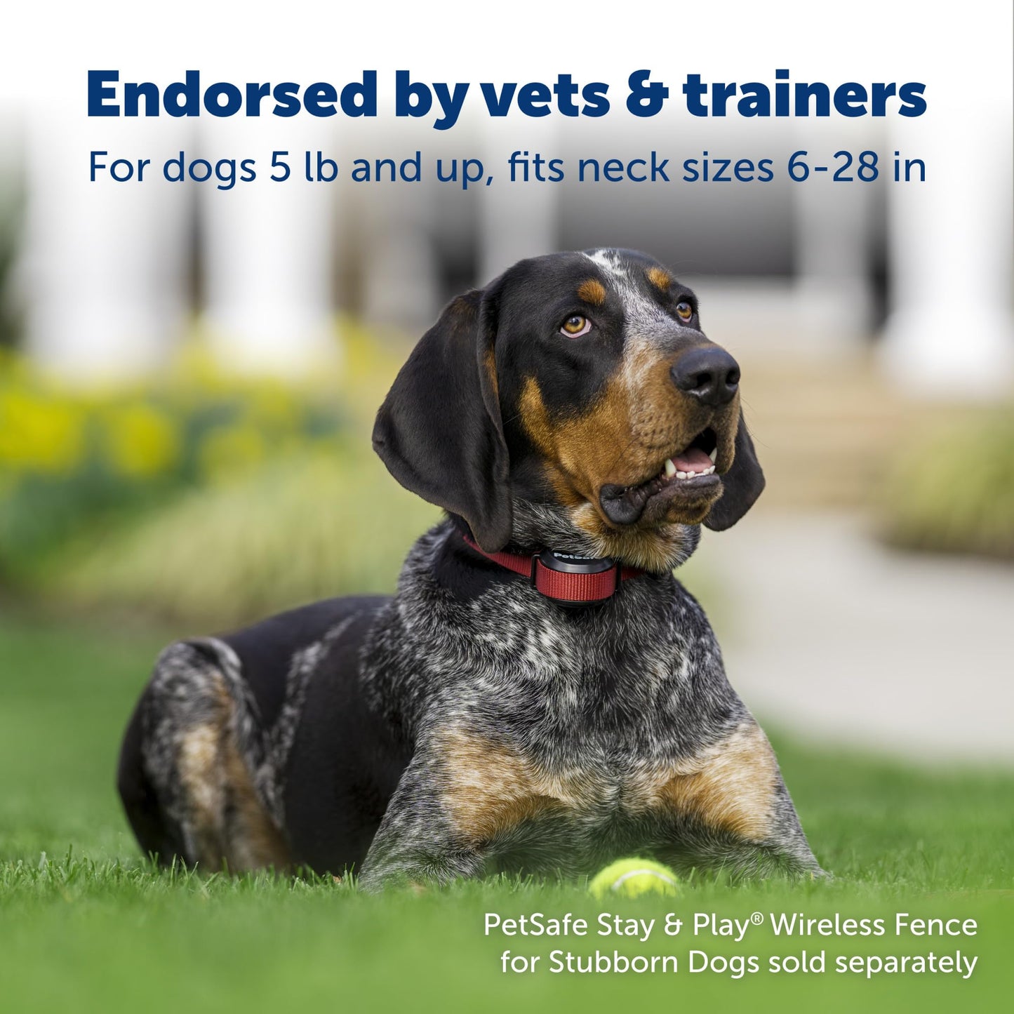 PetSafe Stay and Play Wireless Pet Fence for Stubborn Dogs from The Parent Company of Invisible Fence Brand Above Ground Electric Pet Fence with Waterproof and Rechargeable Training Collar