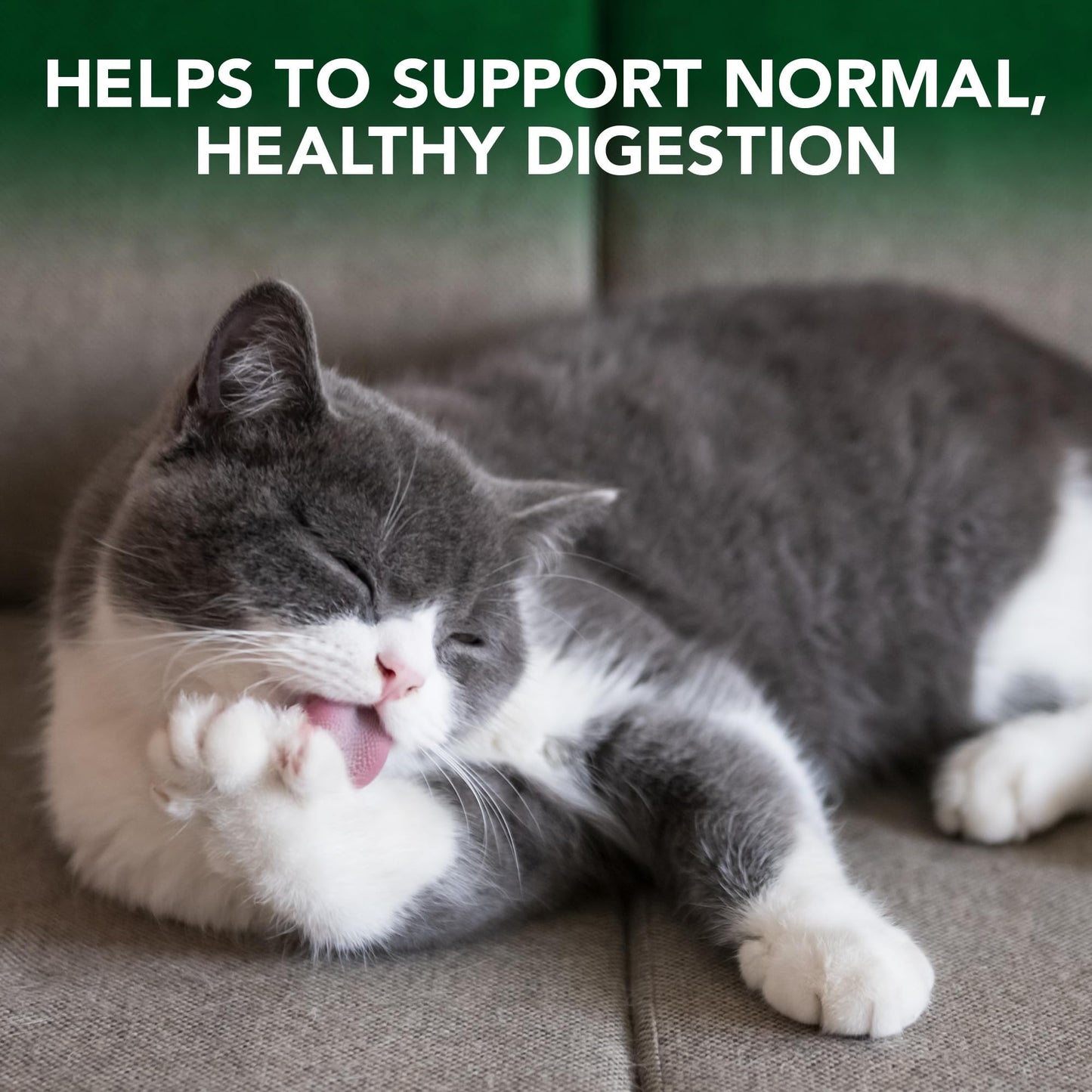 Vet’s Best Cat Hairball Relief Digestive Aid | Vet Formulated Hairball Support Remedy | Classic Chicken Flavor | 60 Chewable Tablets