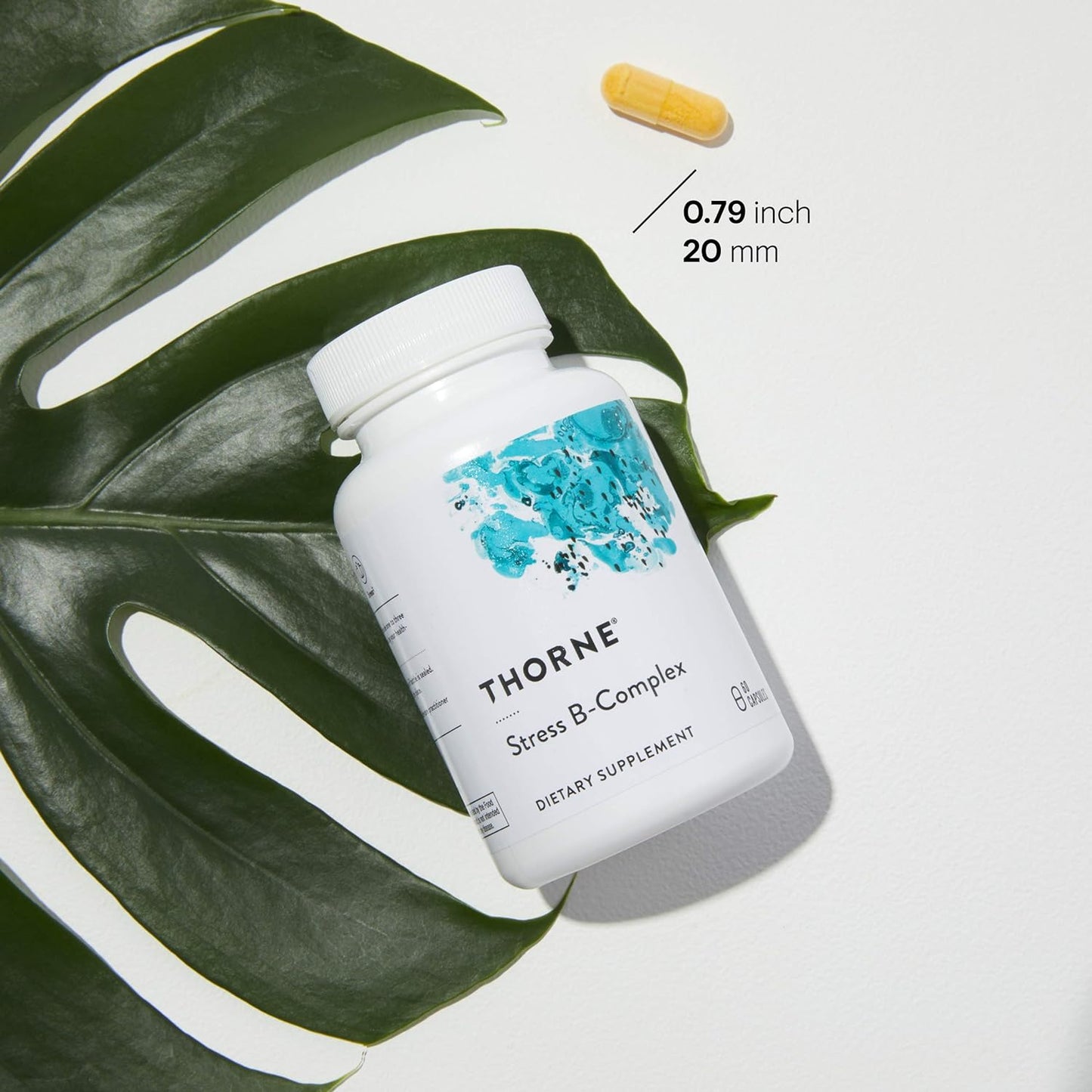 Thorne Stress B-Complex - Vitamin B Complex for Stress Support - 60 Capsules - 60 Servings