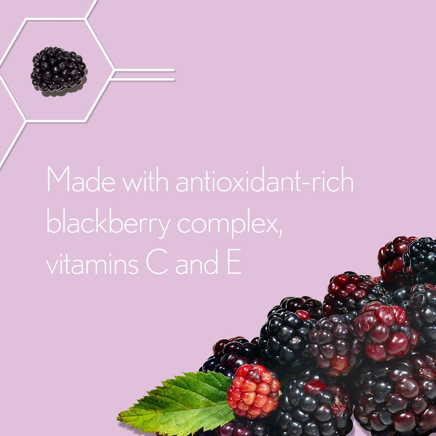 Aveeno Anti Aging Night Cream, Active Naturals Absolutely Ageless Restorative Face Moisturizer for Wrinkles and Fine Lines, Hydrating Lotion with Blackberry Complex, Non-Comedogenic and Hypoallergenic, 48ML