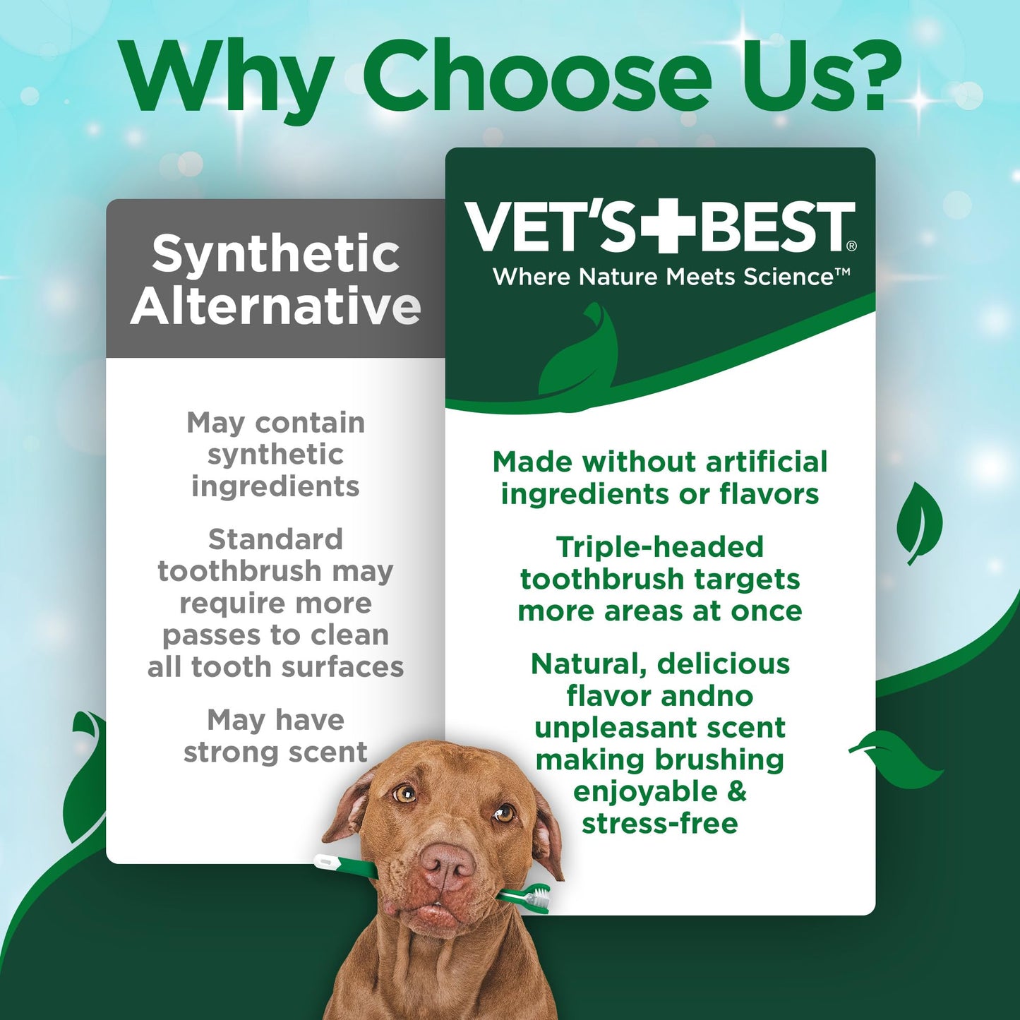 Vet's Best Dental Gel Dog Toothpaste, 3.5 oz
