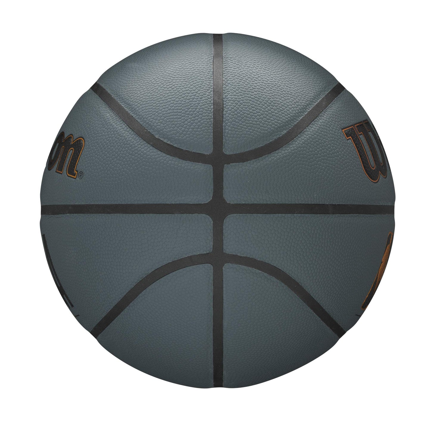 WILSON Ballons de basketball intérieur/extérieur série NBA Forge