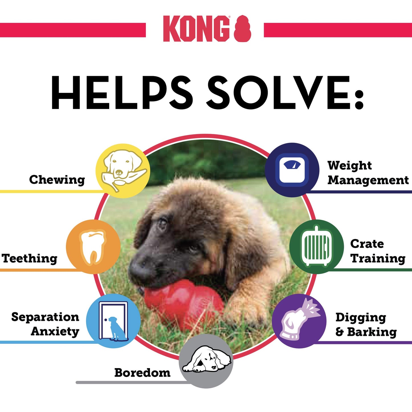 KONG Puppy Toy Natural Teething Rubber -Fun to Chew, Chase & Fetch- For Large Puppies (Color May Vary)