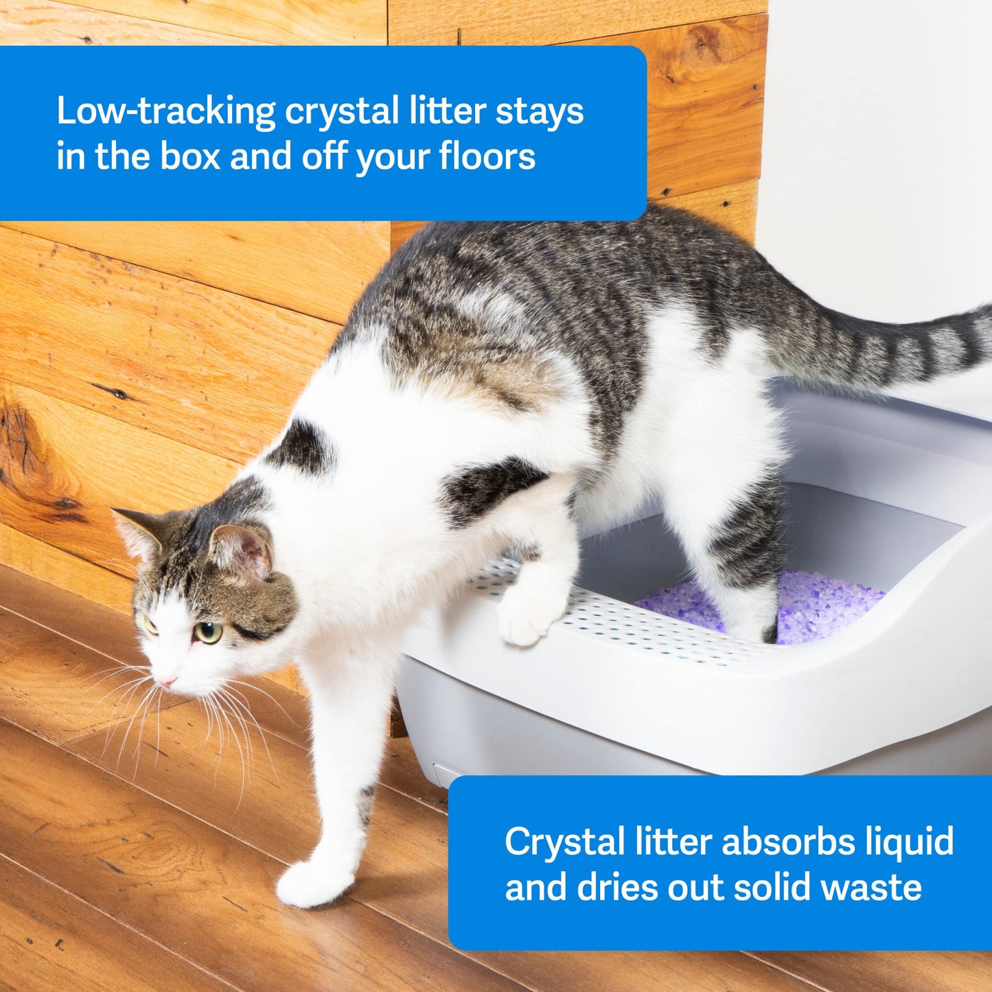 PetSafe ScoopFree Self-Cleaning Cat Litter Box Tray Refills with Premium Blue Non-Clumping Crystals, 3-Pack