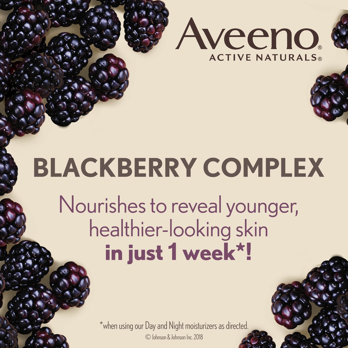 Aveeno Anti Aging Night Cream, Active Naturals Absolutely Ageless Restorative Face Moisturizer for Wrinkles and Fine Lines, Hydrating Lotion with Blackberry Complex, Non-Comedogenic and Hypoallergenic, 48ML