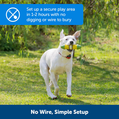 PetSafe Stay and Play Wireless Pet Fence for Stubborn Dogs from The Parent Company of Invisible Fence Brand Above Ground Electric Pet Fence with Waterproof and Rechargeable Training Collar