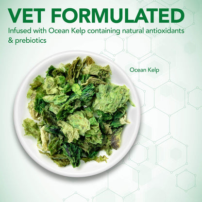 Vet's Best Probiotic Soft Chews Dog Supplements, 30 Day Supply