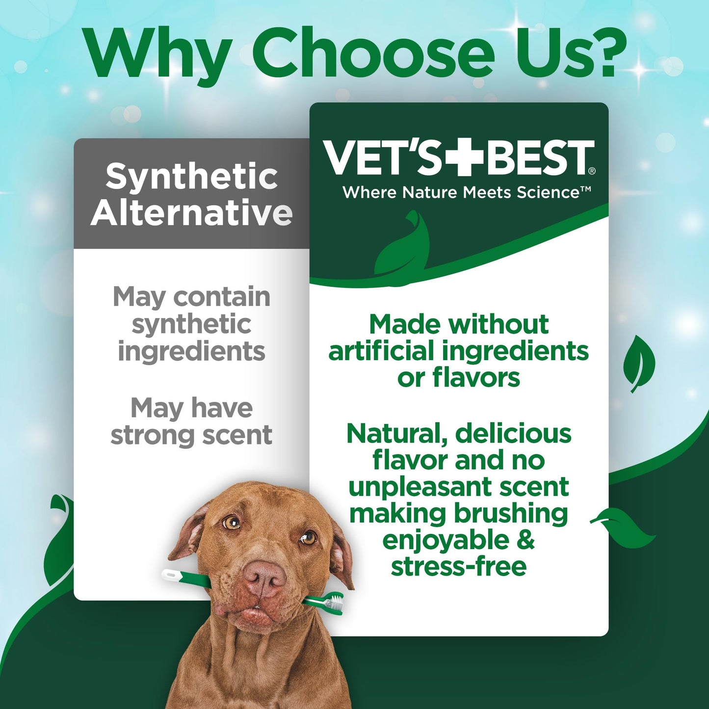 Vet's Best Dental Gel Dog Toothpaste, 3.5 oz