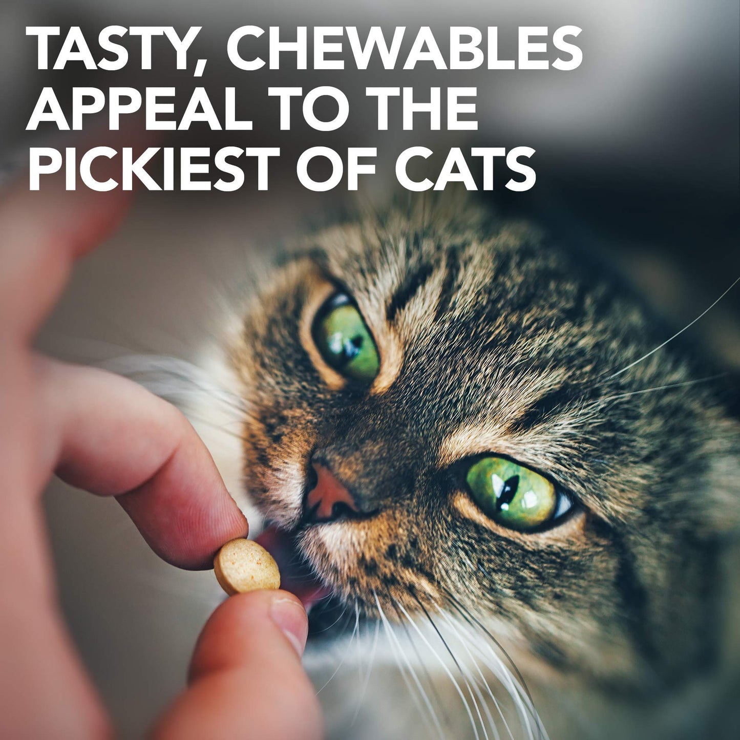 Vet's Best Feline Urinary Tract Support Cat Supplements, 60 Chewable Tablets