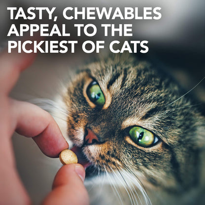 Vet's Best Feline Urinary Tract Support Cat Supplements, 60 Chewable Tablets