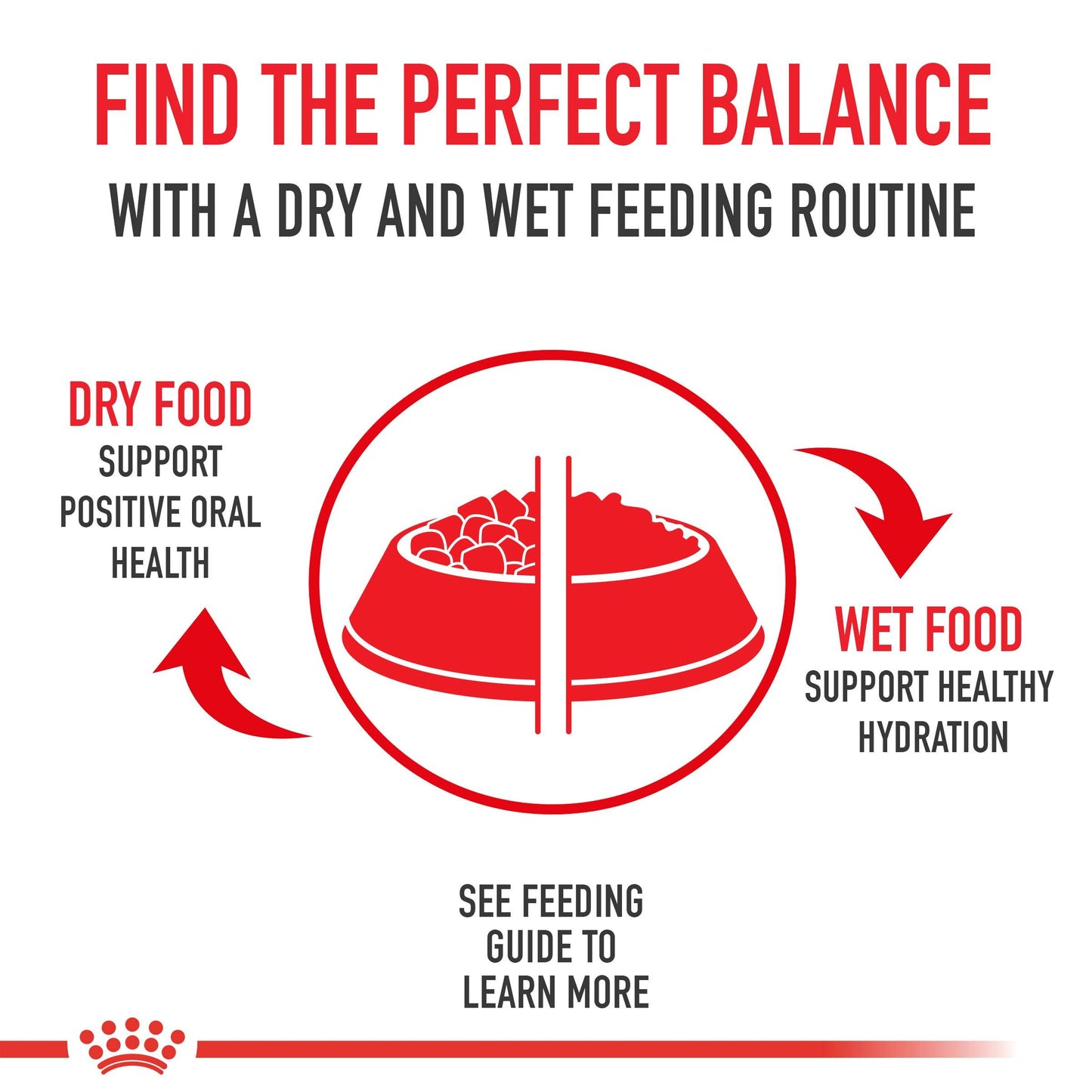 Royal Canin Feline Health Nutrition Dry Food for Young Kittens, 3.5 Pound Bag