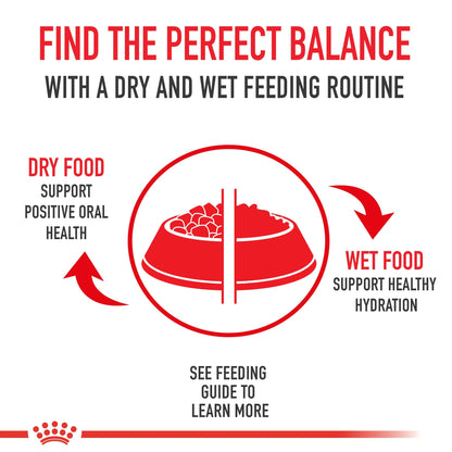 Royal Canin Feline Health Nutrition Spayed/Neutered Appetite Control Dry Cat Food, 2.5-Pound