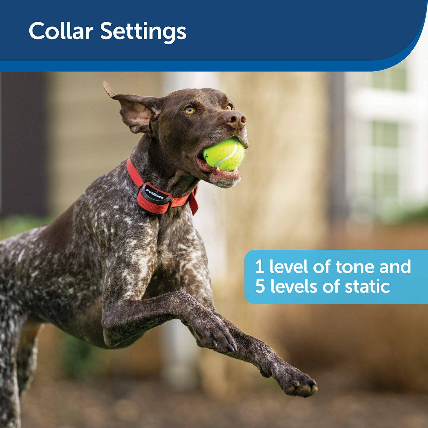 PetSafe Stay and Play Wireless Pet Fence for Stubborn Dogs from The Parent Company of Invisible Fence Brand Above Ground Electric Pet Fence with Waterproof and Rechargeable Training Collar