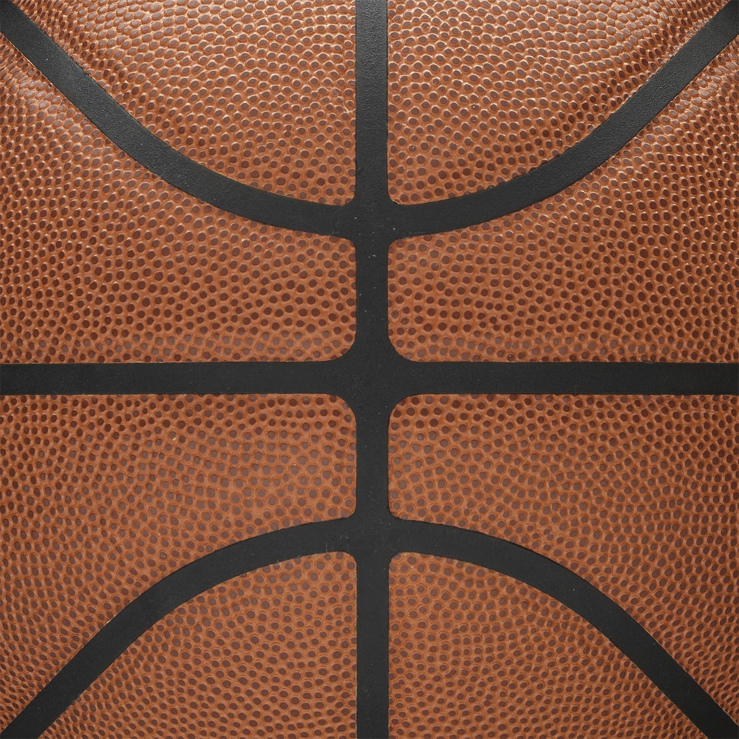 WILSON Ballons de basketball intérieur/extérieur série NBA Forge