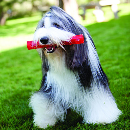 KONG Squeezz Ring Dog Toy, Large, Colors Vary