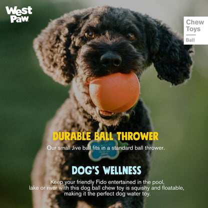 West Paw Zogoflex Jive Durable Nearly Indestructible Dog Ball Chew-Fetch-Play Dog Toy, 100% Guaranteed Tough, It Floats!, Made in USA, Large 3-1/4-Inch, Tangerine