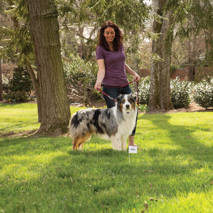 PetSafe Stay and Play Wireless Pet Fence for Stubborn Dogs from The Parent Company of Invisible Fence Brand Above Ground Electric Pet Fence with Waterproof and Rechargeable Training Collar