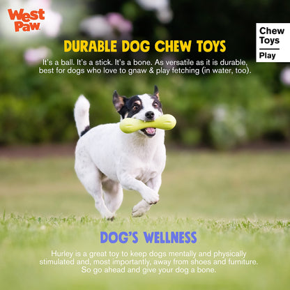 West Paw Zogoflex Hurley Durable Dog Bone Chew Toy for Aggressive Chewers, 100% Guaranteed Tough, It Floats!, Made in USA, Small, Granny Smith