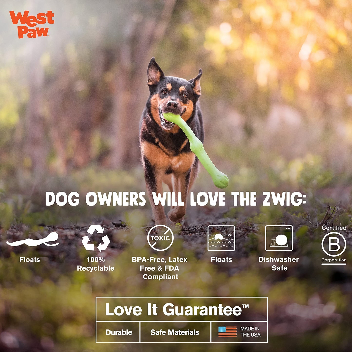 West Paw Zogoflex Echo Zwig Squeezy Dog Fetching Stick – Bouncy, Hollow, Squishy Interactive Toy for Puppies, Large Dogs – Floatable Stick, Lightweight Chewy Toy for Catch/Fetch – 13.75”, Jungle Green