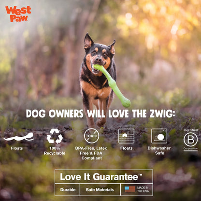 West Paw Zogoflex Echo Zwig Squeezy Dog Fetching Stick – Bouncy, Hollow, Squishy Interactive Toy for Puppies, Large Dogs – Floatable Stick, Lightweight Chewy Toy for Catch/Fetch – 13.75”, Jungle Green