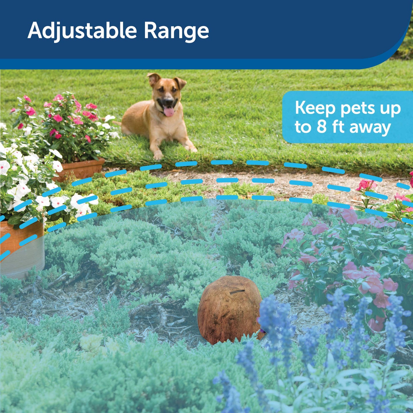 PetSafe Pawz Away Pet Barrier with Adjustable Range, Pet Proofing for Cats and Dogs, Static Stimulation